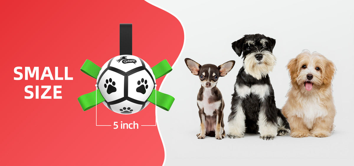 Small Dogs: 5-20 lbs