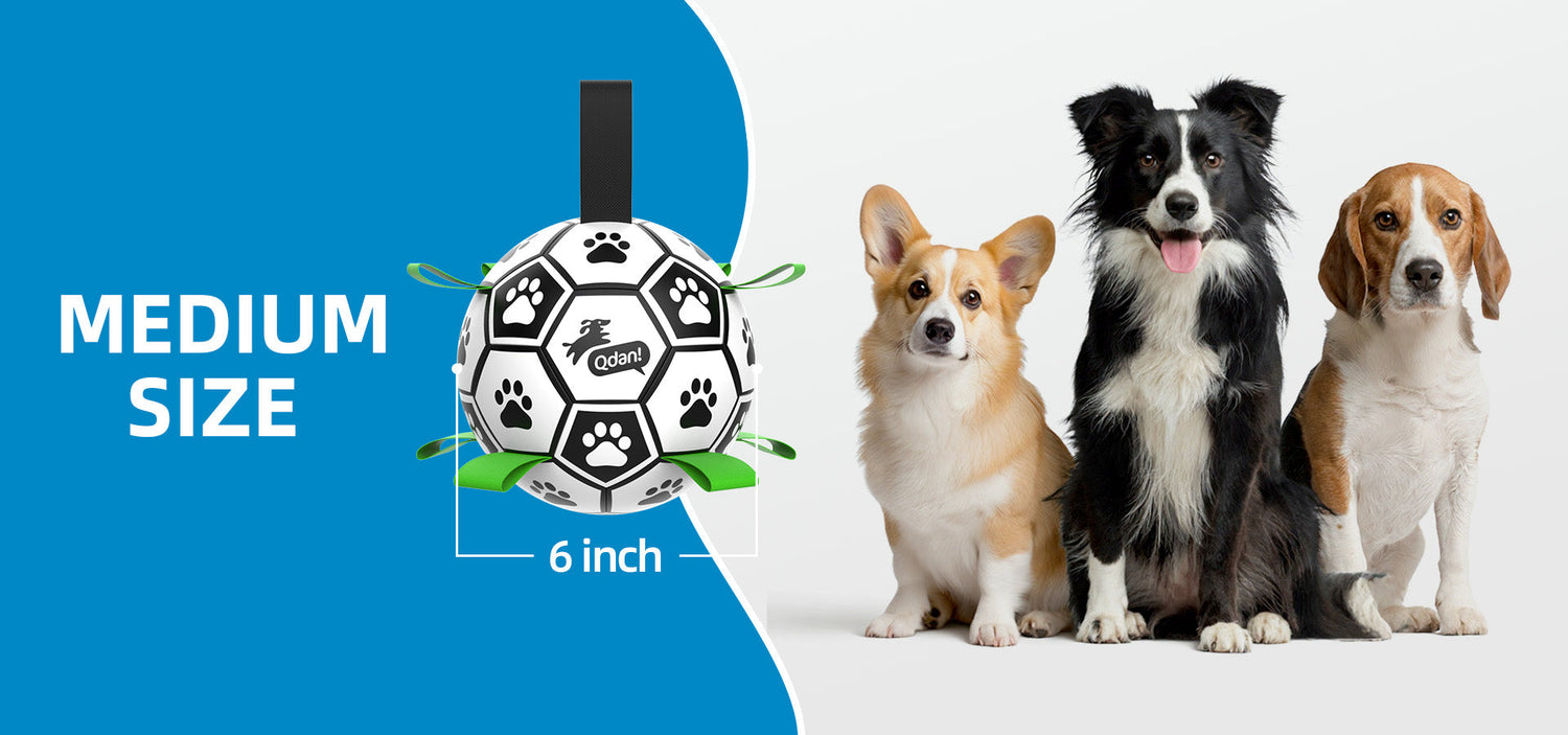 Medium Dogs: 20-40 lbs