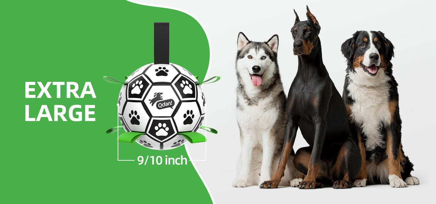 Extra Large Dogs: 90+ lbs