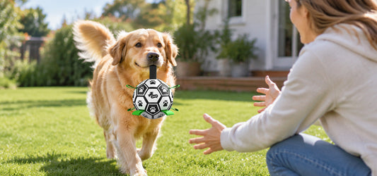 How to Inspect Grab Tabs, Seams and Dog Soccer Ball Surfaces