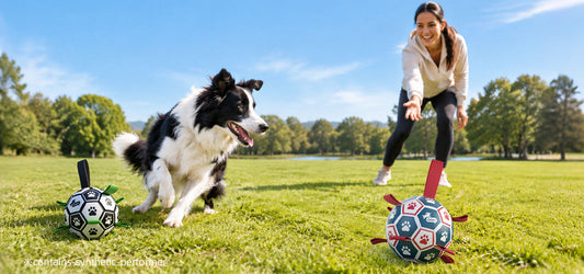Two-Ball Training Games for Dogs: Chase, Recall and Release