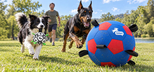 Dog Soccer Ball vs Herding Ball: Which Is Right for Your Dog?