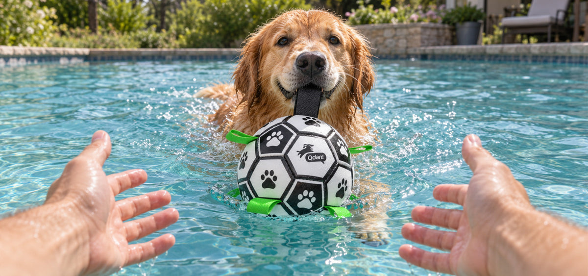 Can Dog Soccer Balls Be Used in Water?