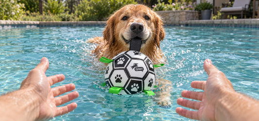 Can Dog Soccer Balls Be Used in Water?