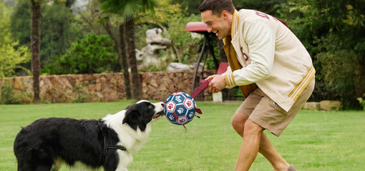 How Durable Should a Dog Soccer Ball Be?