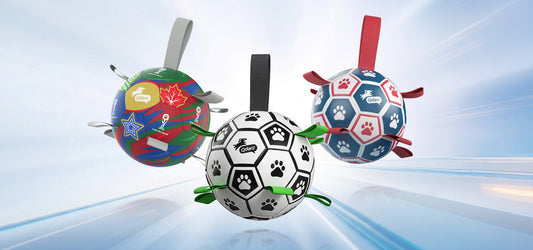 Dog Soccer Ball vs Regular Soccer Ball: What’s the Difference?