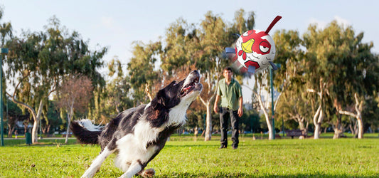 Dog Soccer Balls With Grab Tabs: How They Work