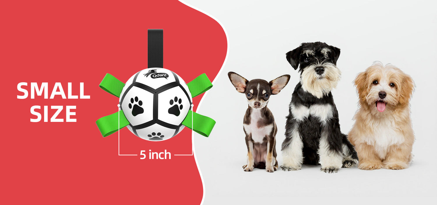 Small Dogs: 5-20 lbs