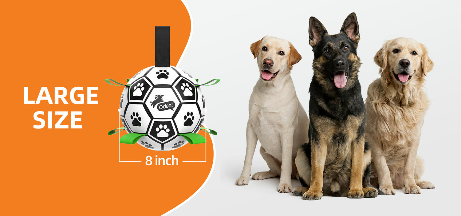 Large Dogs: 30-90 lbs