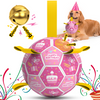 Pink Birthday Dog Soccer Ball with Bell & Straps | Large Dogs – 8 inch