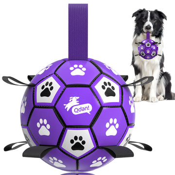Purple Dog Soccer Ball with Straps | Medium Dogs – 6 inch