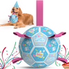Sky Blue Dog Soccer Ball with Bell & Straps | Large Dogs – 8 inch