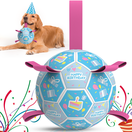 Sky Blue Dog Soccer Ball with Bell & Straps | Large Dogs – 8 inch