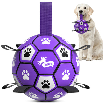 Purple Dog Soccer Ball with Straps｜Large Dogs – 8 inch
