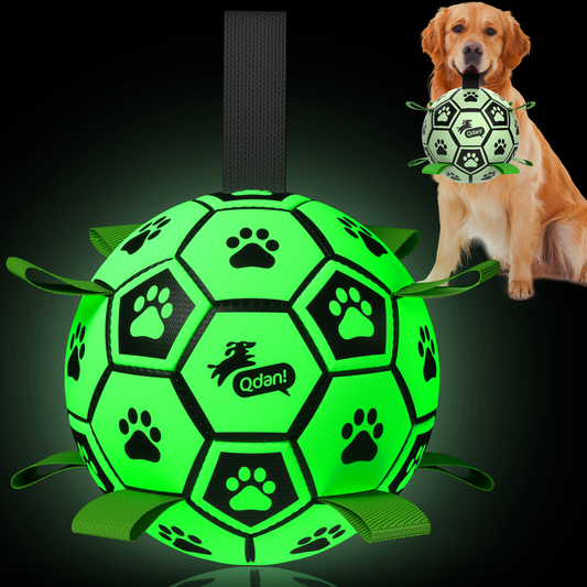 Mint Glow Green Dog Soccer Ball with Straps – 6 inch to 8 inch
