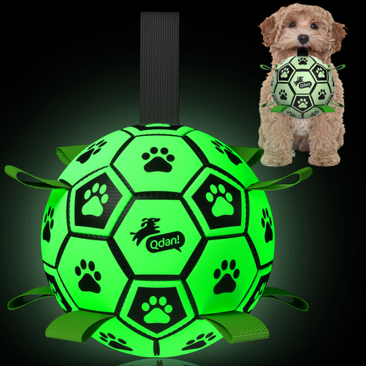 Mint Glow Dog Soccer Ball with Straps | Medium Dogs – 6 inch