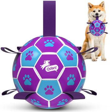 Pink Blue Dog Soccer Ball with Straps | Medium Dogs – 6 inch