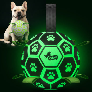 Glow Green Dog Soccer Ball with Straps | Medium Dogs – 6 inch