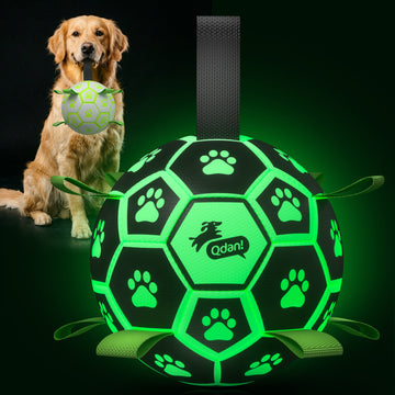 Glow Green Dog Soccer Ball with Straps | Large Dogs – 8 inch