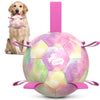 Gradient Rainbow Dog Soccer Ball with Straps | Large Dogs – 8 inch