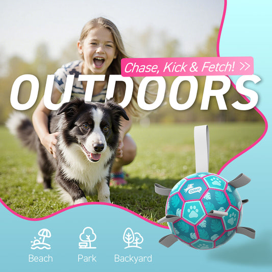 Lake Blue Dog Soccer Ball with Straps | Large Dogs – 8 inch