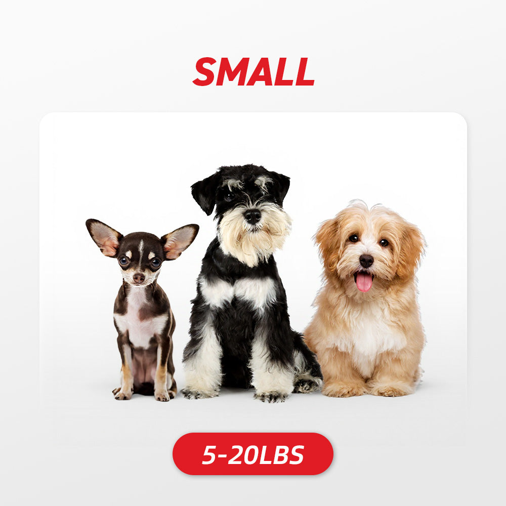 Small Dogs: 5-20 lbs