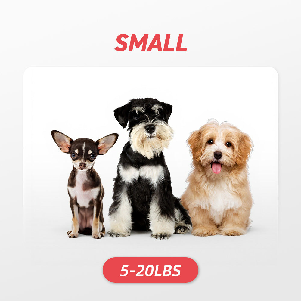 Small Dogs: 5-20 lbs
