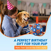 Blue Orange Dog Soccer Ball with Straps | Large Dogs – 8 inch