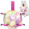 Gradient Rainbow Dog Soccer Ball with Straps - 5 inch to 9 inch