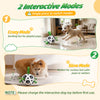 Smart Moving Dog Soccer Ball with Straps