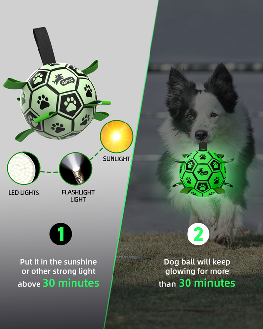 Mint Glow Green Dog Soccer Ball with Straps – 6 inch to 8 inch