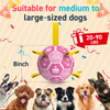 Pink Birthday Dog Soccer Ball with Bell & Straps | Large Dogs – 8 inch
