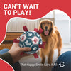 Blue Red Dog Soccer Ball with Straps | Medium Dogs – 6 inch
