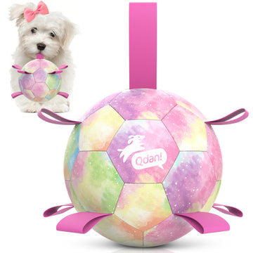 Gradient Rainbow Dog Soccer Ball with Straps | Medium Dogs – 6 inch