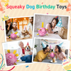 Pink Birthday Dog Soccer Ball with Bell & Straps | Large Dogs – 8 inch