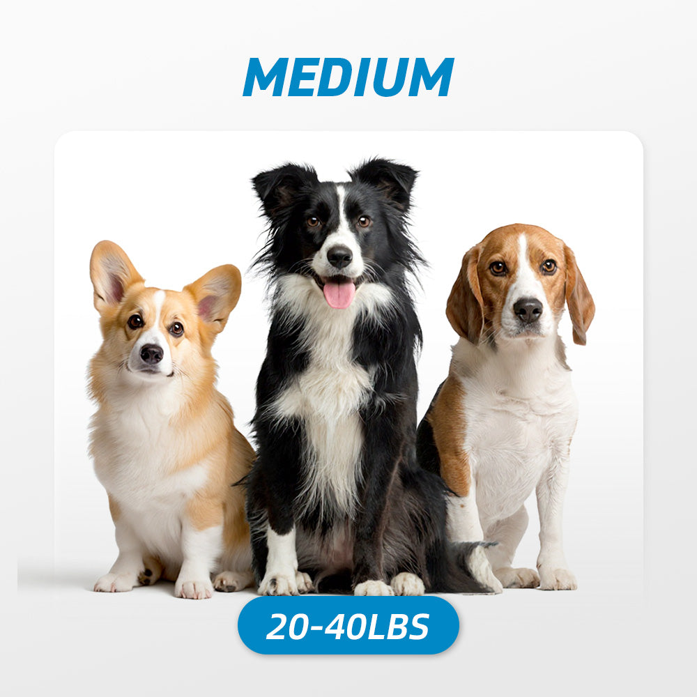 Medium Dogs: 20-40 lbs