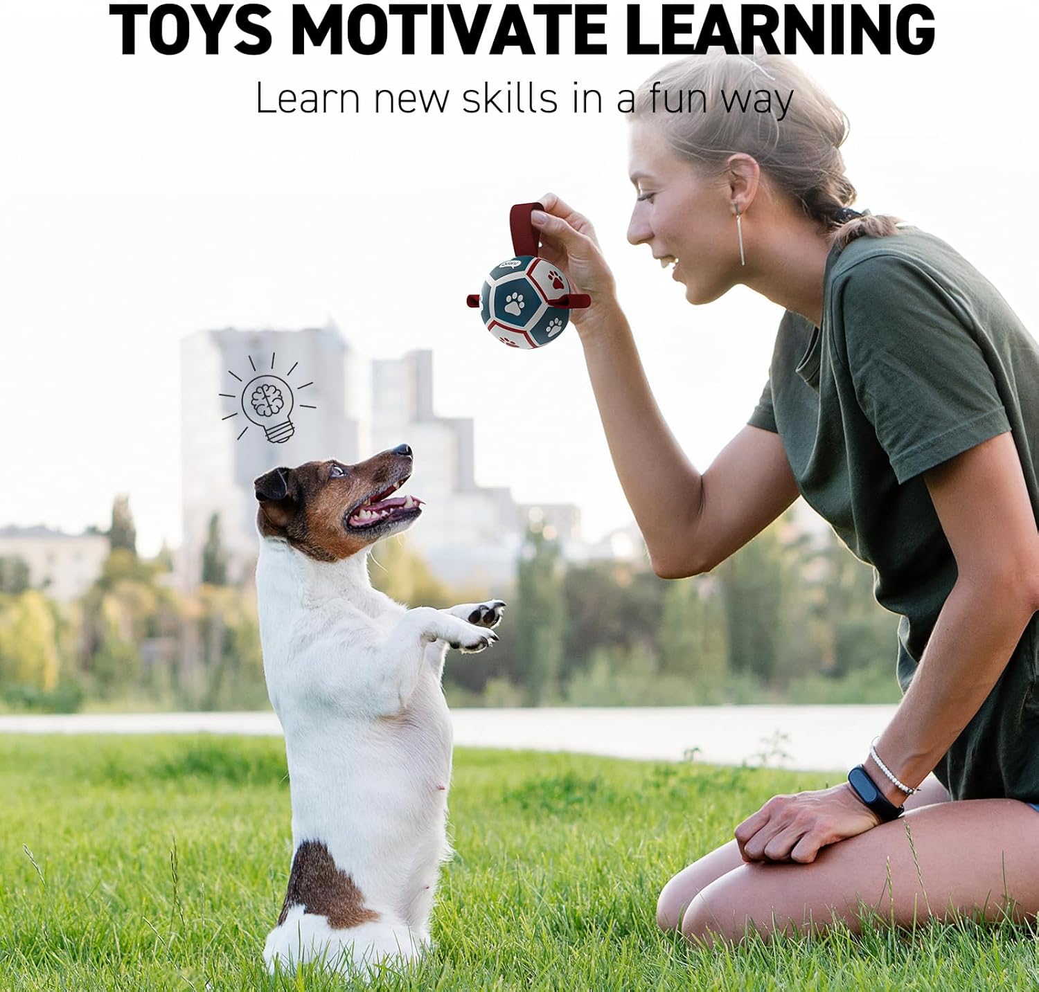 QDAN Small Dog Toys, Puppy Balls, Dog Balls with Straps for Small Breed, Soccer Ball for Dogs, Puppy Toys, Dog Birthday Gift (Blue Red, 3.5 inch)