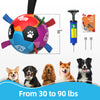 Rainbow Dog Soccer Ball with Straps – 5 inch to 8 inch