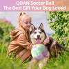 Gradient Rainbow Dog Soccer Ball with Straps | Extra Large Dogs – 9 inch
