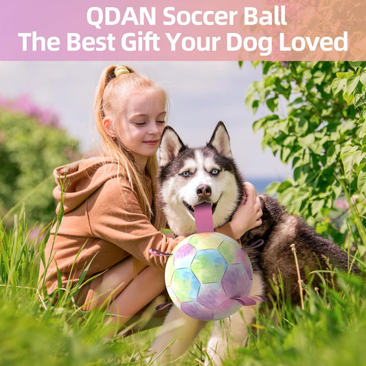 Gradient Rainbow Dog Soccer Ball with Straps | Extra Large Dogs – 9 inch