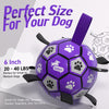 Purple Dog Soccer Ball with Straps｜Large Dogs – 8 inch