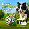 Dog Soccer Ball with Straps & Giggle Sound – 6 inch