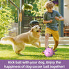 Lilac Dog Soccer Ball with Straps | Medium Dogs – 6 inch