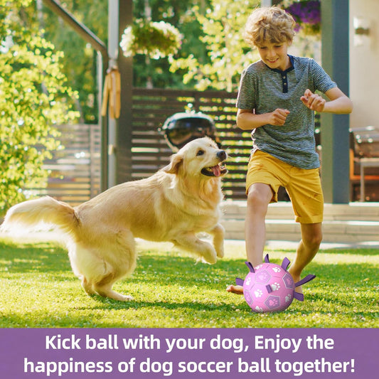 Lilac Dog Soccer Ball with Straps | Medium Dogs – 6 inch