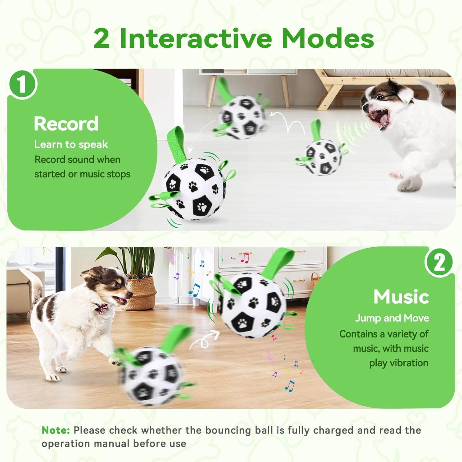 QDAN Interactive Dog Toys Balls: Automatic Rolling Dog Toys to Keep Them Busy, Remote Control, Rechargeable Pet Enrichment Toy for Boredom, Squeaky Puppy Toy for Small Medium