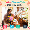 Pink Birthday Dog Soccer Ball with Bell & Straps | Large Dogs – 8 inch