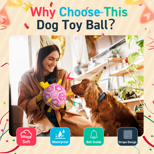 Pink Birthday Dog Soccer Ball with Bell & Straps | Large Dogs – 8 inch
