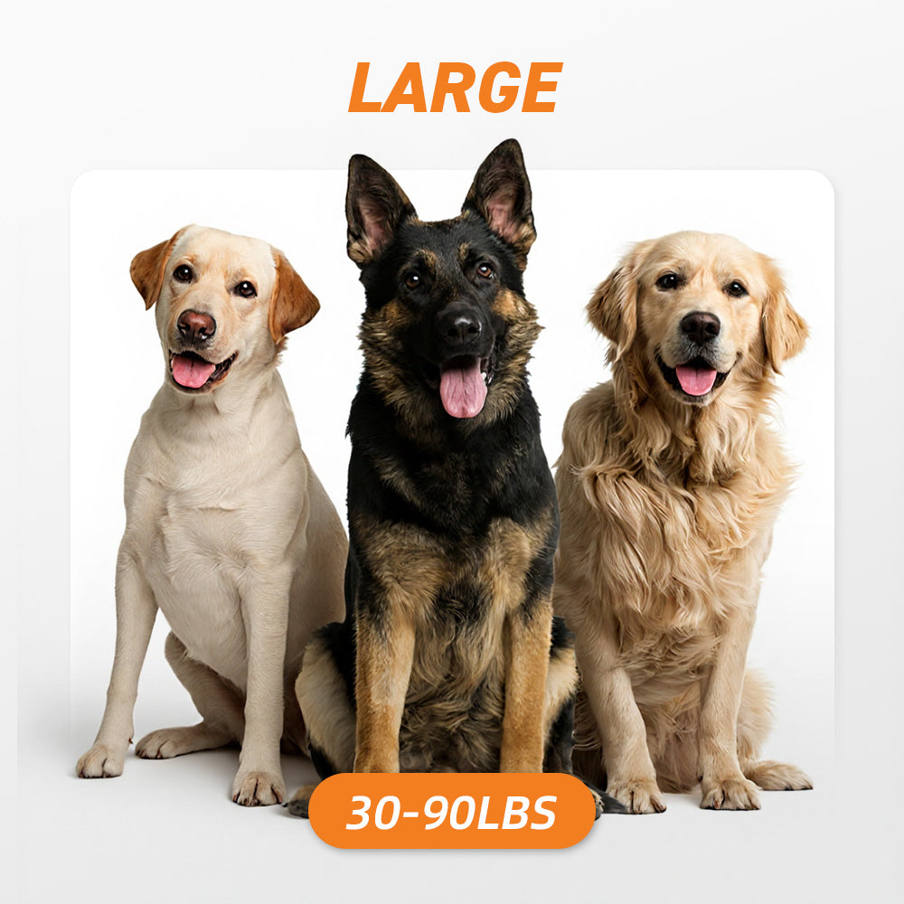 Large Dogs: 30-90 lbs