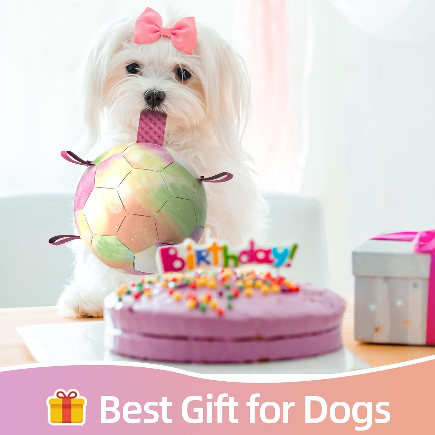 QDAN Dog Toys Soccer Ball with Straps,Gradient Interactive Dogs Toys for Tug of War, Puppy Birthday Gifts,Water Toy Durable Dog Balls World Cup for Small & Medium Dogs-Rainbow（8 Inch）