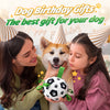 Smart Moving Dog Soccer Ball with Straps